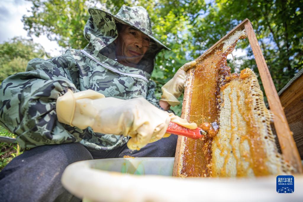 太陽城下载